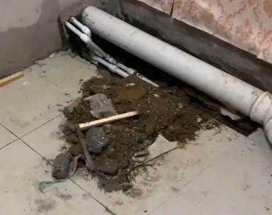 隆尧卫生间漏水检测哪家好