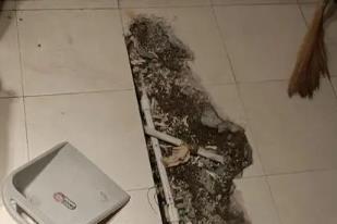 隆尧卫生间漏水检测电话